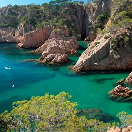 In Sant De Guixols - 104294 By Mo * Sant Feliu de Guixols